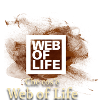 Cos' Web of Life